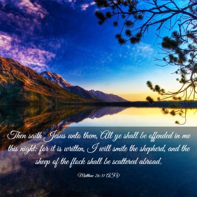 Picture 03 - Matthew 26:31 ASV - Then saith Jesus unto them, All ye shall be - Bible Verse Picture
