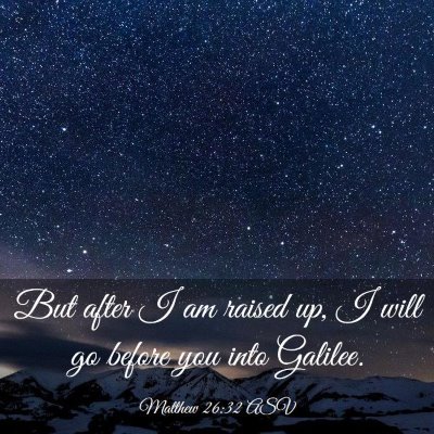 Picture 03 - Matthew 26:32 ASV - But after I am raised up, I will go before you - Bible Verse Picture