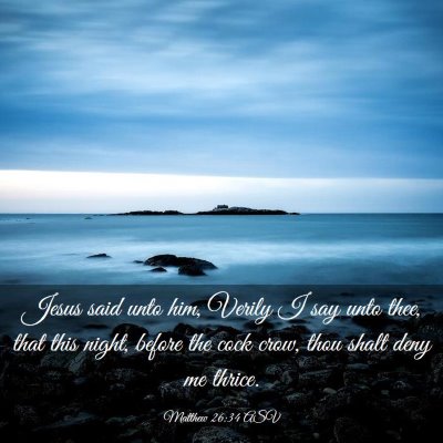 Picture 03 - Matthew 26:34 ASV - Jesus said unto him, Verily I say unto thee, that - Bible Verse Picture
