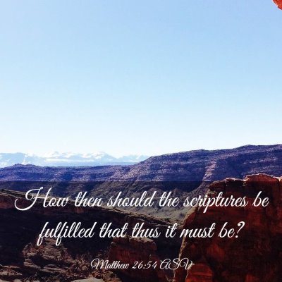 Picture 03 - Matthew 26:54 ASV - How then should the scriptures be fulfilled that - Bible Verse Picture