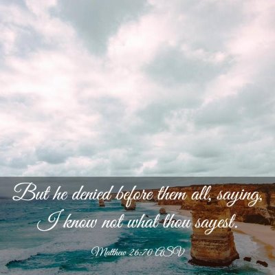 Picture 03 - Matthew 26:70 ASV - But he denied before them all, saying, I know not - Bible Verse Picture