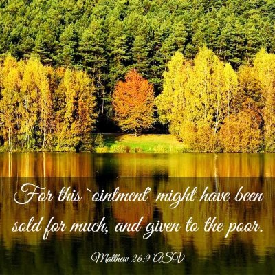 Picture 03 - Matthew 26:9 ASV - For this `ointment' might have been sold for - Bible Verse Picture