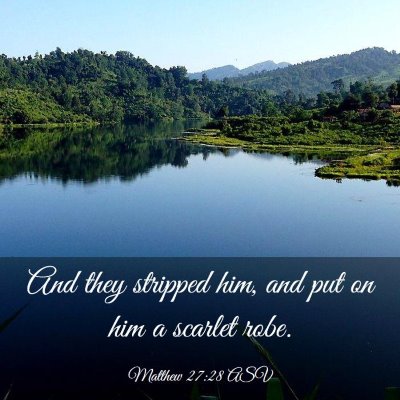 Picture 03 - Matthew 27:28 ASV - And they stripped him, and put on him a scarlet - Bible Verse Picture