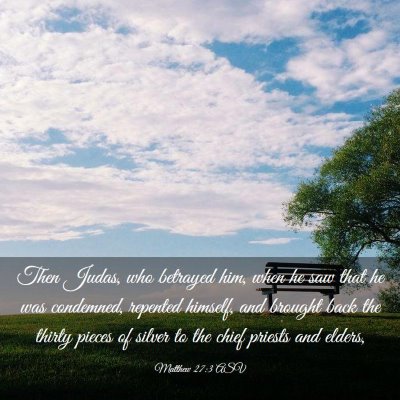 Picture 03 - Matthew 27:3 ASV - Then Judas, who betrayed him, when he saw that he - Bible Verse Picture