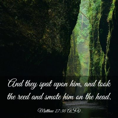 Picture 03 - Matthew 27:30 ASV - And they spat upon him, and took the reed and - Bible Verse Picture