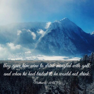 Picture 03 - Matthew 27:34 ASV - they gave him wine to drink mingled with gall: - Bible Verse Picture