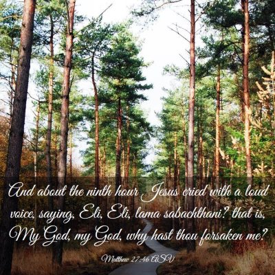Picture 03 - Matthew 27:46 ASV - And about the ninth hour Jesus cried with a loud - Bible Verse Picture