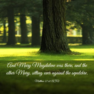 Picture 03 - Matthew 27:61 ASV - And Mary Magdalene was there, and the other Mary, - Bible Verse Picture