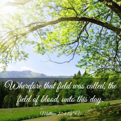 Picture 03 - Matthew 27:8 ASV - Wherefore that field was called, the field of - Bible Verse Picture