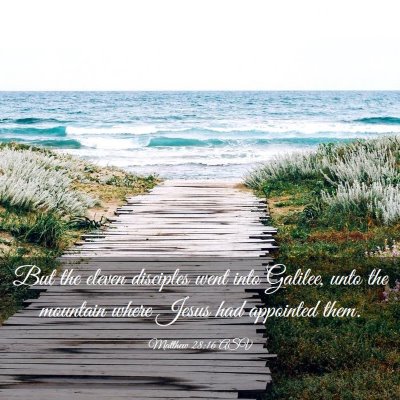Picture 03 - Matthew 28:16 ASV - But the eleven disciples went into Galilee, unto - Bible Verse Picture