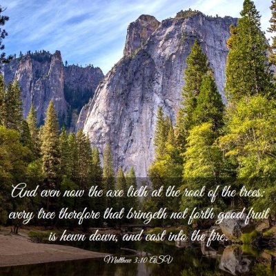 Picture 03 - Matthew 3:10 ASV - And even now the axe lieth at the root of the - Bible Verse Picture