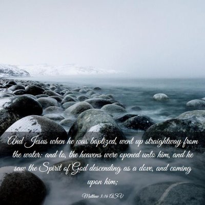 Picture 03 - Matthew 3:16 ASV - And Jesus when he was baptized, went up - Bible Verse Picture