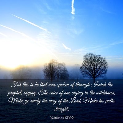 Picture 03 - Matthew 3:3 ASV - For this is he that was spoken of through Isaiah - Bible Verse Picture