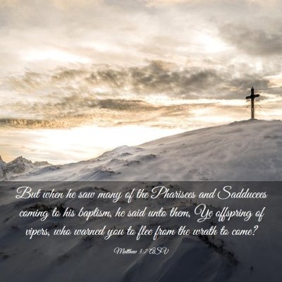 Picture 03 - Matthew 3:7 ASV - But when he saw many of the Pharisees and - Bible Verse Picture