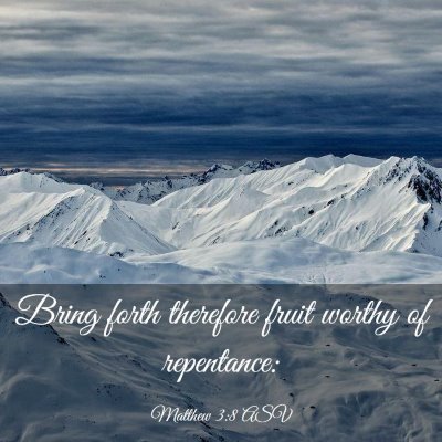 Picture 03 - Matthew 3:8 ASV - Bring forth therefore fruit worthy of - Bible Verse Picture