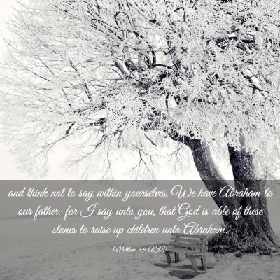 Picture 03 - Matthew 3:9 ASV - and think not to say within yourselves, We have - Bible Verse Picture