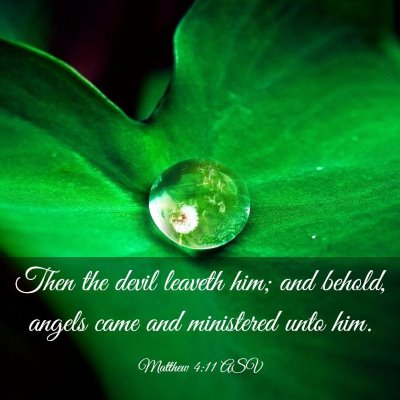 Picture 03 - Matthew 4:11 ASV - Then the devil leaveth him; and behold, angels - Bible Verse Picture