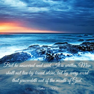 Picture 03 - Matthew 4:4 ASV - But he answered and said, It is written, Man - Bible Verse Picture
