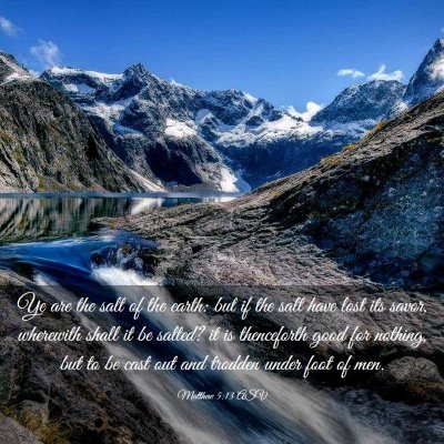 Picture 03 - Matthew 5:13 ASV - Ye are the salt of the earth: but if the salt - Bible Verse Picture