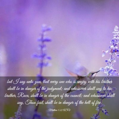 Picture 03 - Matthew 5:22 ASV - but I say unto you, that every one who is angry - Bible Verse Picture