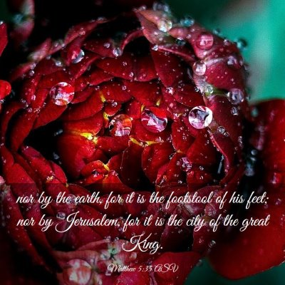 Picture 03 - Matthew 5:35 ASV - nor by the earth, for it is the footstool of his - Bible Verse Picture