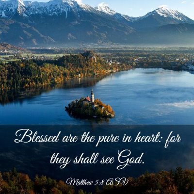 Picture 03 - Matthew 5:8 ASV - Blessed are the pure in heart: for they shall see - Bible Verse Picture