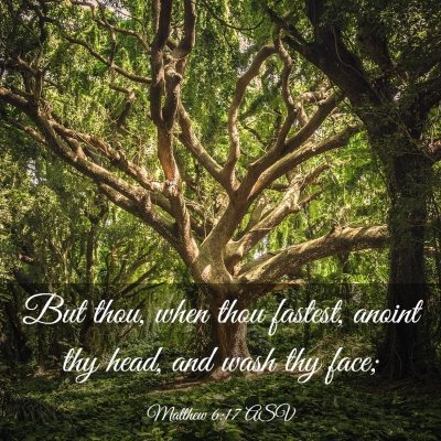 Picture 03 - Matthew 6:17 ASV - But thou, when thou fastest, anoint thy head, and - Bible Verse Picture
