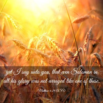 Picture 03 - Matthew 6:29 ASV - yet I say unto you, that even Solomon in all his - Bible Verse Picture
