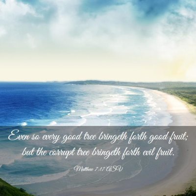 Picture 03 - Matthew 7:17 ASV - Even so every good tree bringeth forth good - Bible Verse Picture