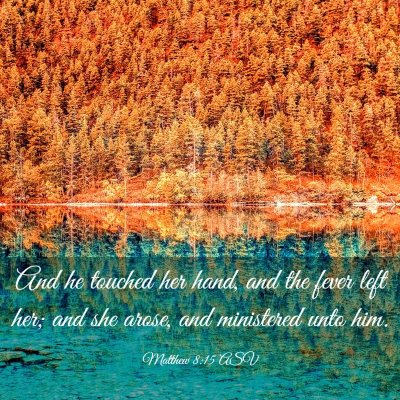 Picture 03 - Matthew 8:15 ASV - And he touched her hand, and the fever left her; - Bible Verse Picture
