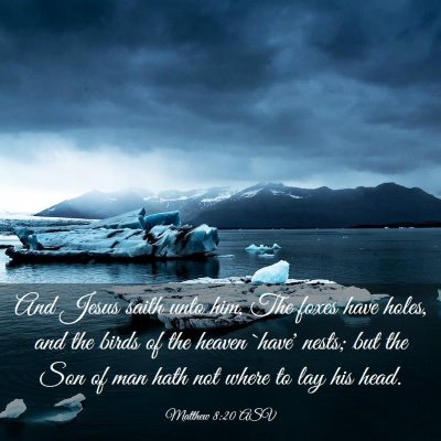 Picture 03 - Matthew 8:20 ASV - And Jesus saith unto him, The foxes have holes, - Bible Verse Picture