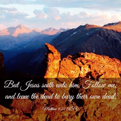 Picture 03 - Matthew 8:22 ASV - But Jesus saith unto him, Follow me; and leave - Bible Verse Picture