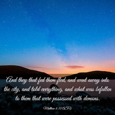Picture 03 - Matthew 8:33 ASV - And they that fed them fled, and went away into - Bible Verse Picture