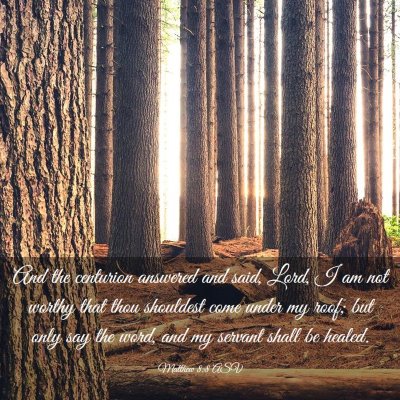 Picture 03 - Matthew 8:8 ASV - And the centurion answered and said, Lord, I am - Bible Verse Picture