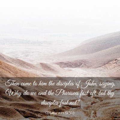 Picture 03 - Matthew 9:14 ASV - Then come to him the disciples of John, saying, - Bible Verse Picture