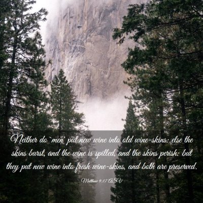Picture 03 - Matthew 9:17 ASV - Neither do `men' put new wine into old - Bible Verse Picture