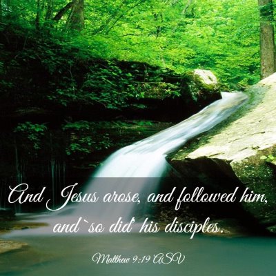 Picture 03 - Matthew 9:19 ASV - And Jesus arose, and followed him, and `so did' - Bible Verse Picture