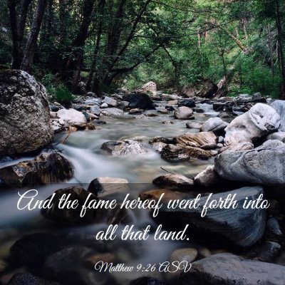 Picture 03 - Matthew 9:26 ASV - And the fame hereof went forth into all that - Bible Verse Picture