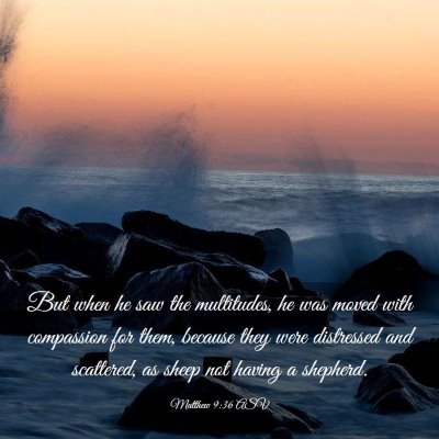 Picture 03 - Matthew 9:36 ASV - But when he saw the multitudes, he was moved with - Bible Verse Picture