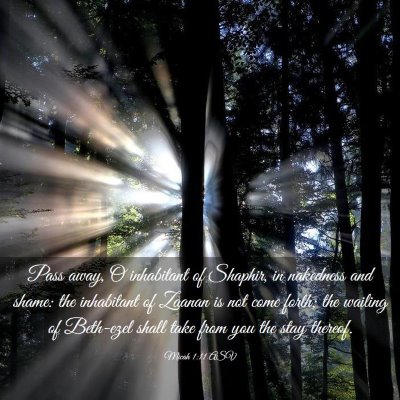 Picture 03 - Micah 1:11 ASV - Pass away, O inhabitant of Shaphir, in nakedness - Bible Verse Picture