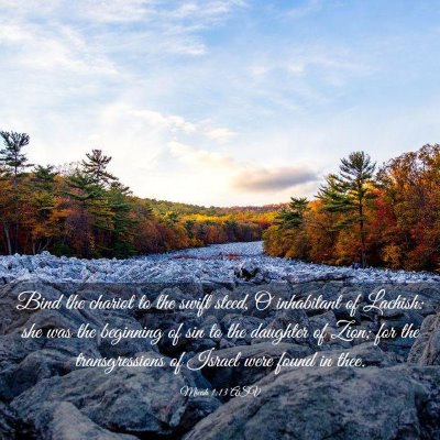 Picture 03 - Micah 1:13 ASV - Bind the chariot to the swift steed, O inhabitant - Bible Verse Picture