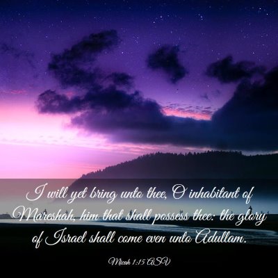 Picture 03 - Micah 1:15 ASV - I will yet bring unto thee, O inhabitant of - Bible Verse Picture
