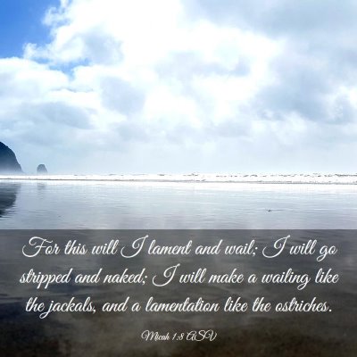 Picture 03 - Micah 1:8 ASV - For this will I lament and wail; I will go - Bible Verse Picture