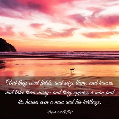 Picture 03 - Micah 2:2 ASV - And they covet fields, and seize them; and - Bible Verse Picture