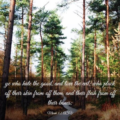 Picture 03 - Micah 3:2 ASV - ye who hate the good, and love the evil; who - Bible Verse Picture