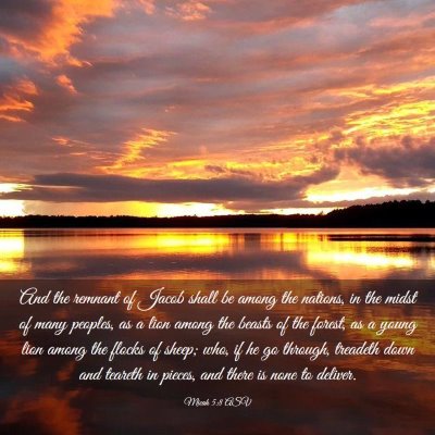 Picture 03 - Micah 5:8 ASV - And the remnant of Jacob shall be among the - Bible Verse Picture