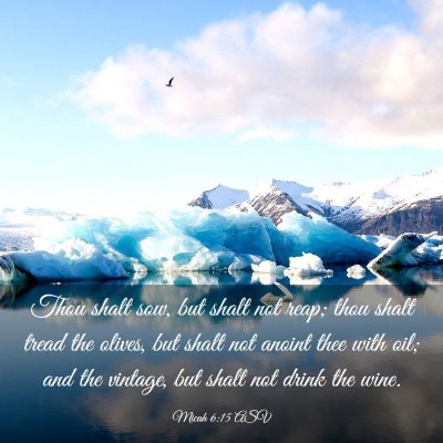 Picture 03 - Micah 6:15 ASV - Thou shalt sow, but shalt not reap; thou shalt - Bible Verse Picture