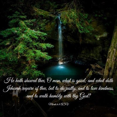 Picture 03 - Micah 6:8 ASV - He hath showed thee, O man, what is good; and - Bible Verse Picture