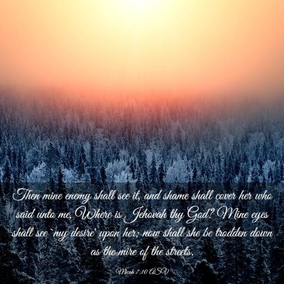 Picture 03 - Micah 7:10 ASV - Then mine enemy shall see it, and shame shall - Bible Verse Picture