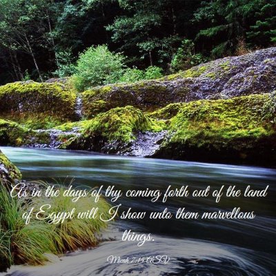 Picture 03 - Micah 7:15 ASV - As in the days of thy coming forth out of the - Bible Verse Picture